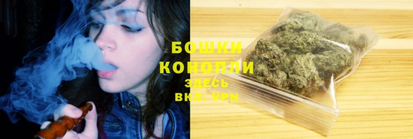 PSILOCYBIN Балахна