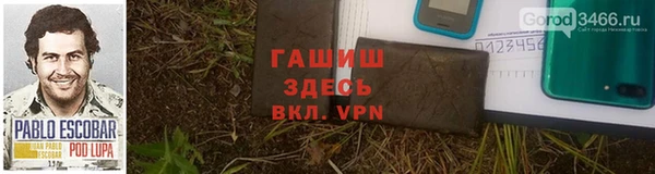 сатива Баксан