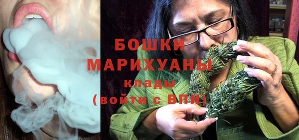 молекула духа Нягань