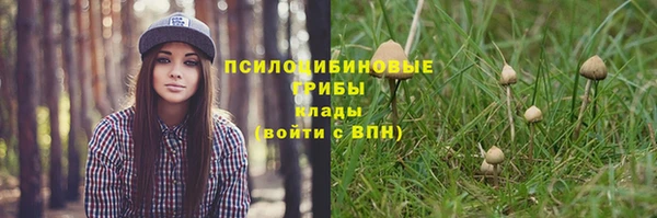 PSILOCYBIN Балахна