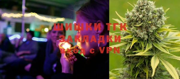 PSILOCYBIN Балахна
