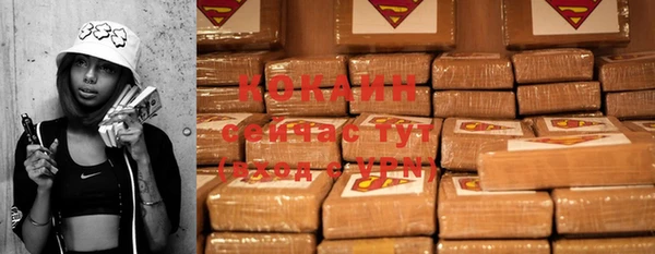 PSILOCYBIN Балахна