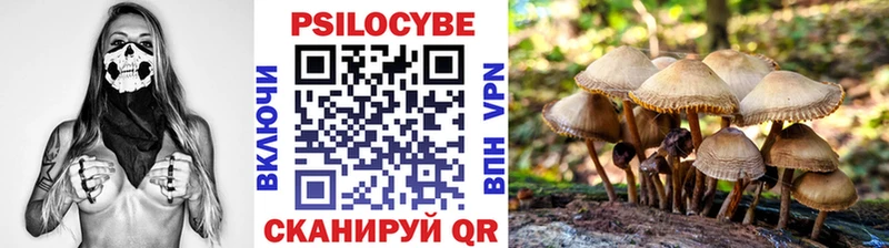 kraken ССЫЛКА  Бор  Псилоцибиновые грибы Magic Shrooms 