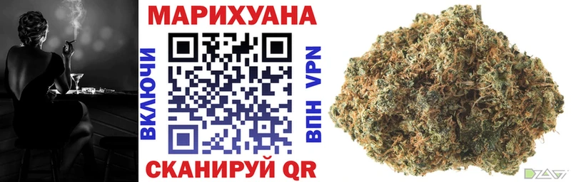 Бошки Шишки план  Бор 